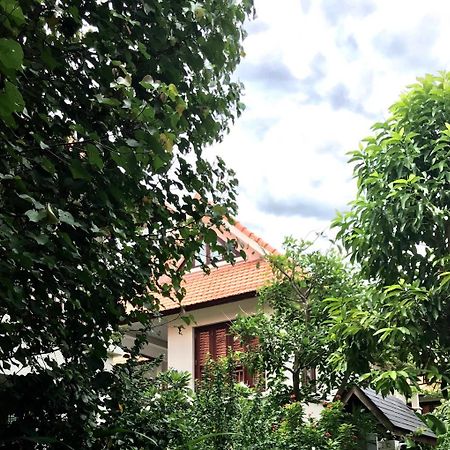 Pearl Paradise Villa Danang Exterior photo